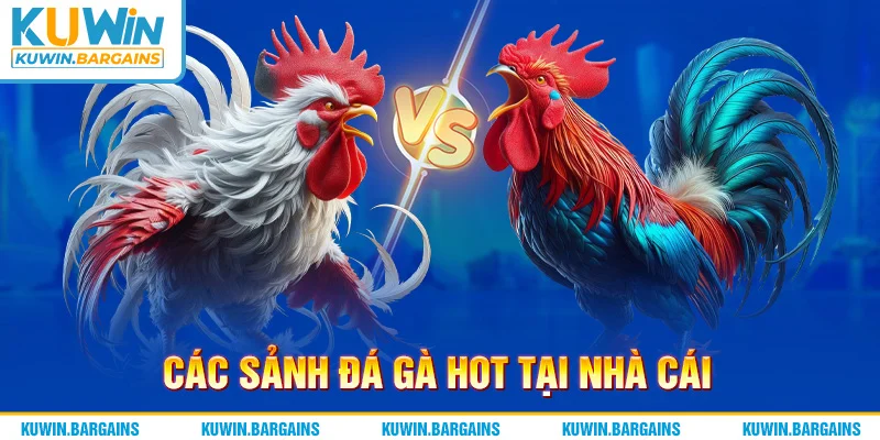Các sảnh đá gà hot tại nhà cái