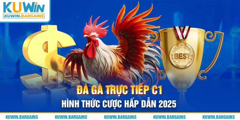 Đá Gà Trực Tiếp C1 - Hình Thức Cược Hấp Dẫn 2025