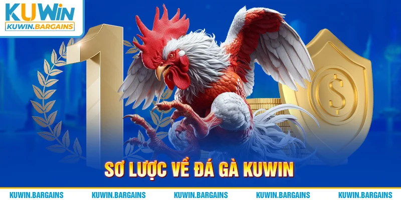 Sơ lược về đá gà KUWIN
